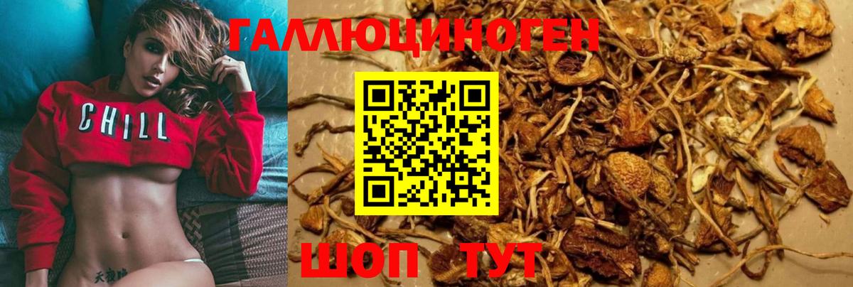 Псилоцибиновые грибы ЛСД Глазов