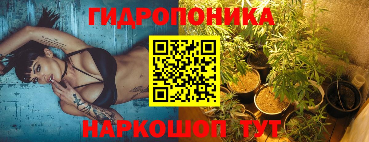 Шишки марихуана AK-47  Вход с VPN  Канабис Ganja  Глазов  Каннабис индика 